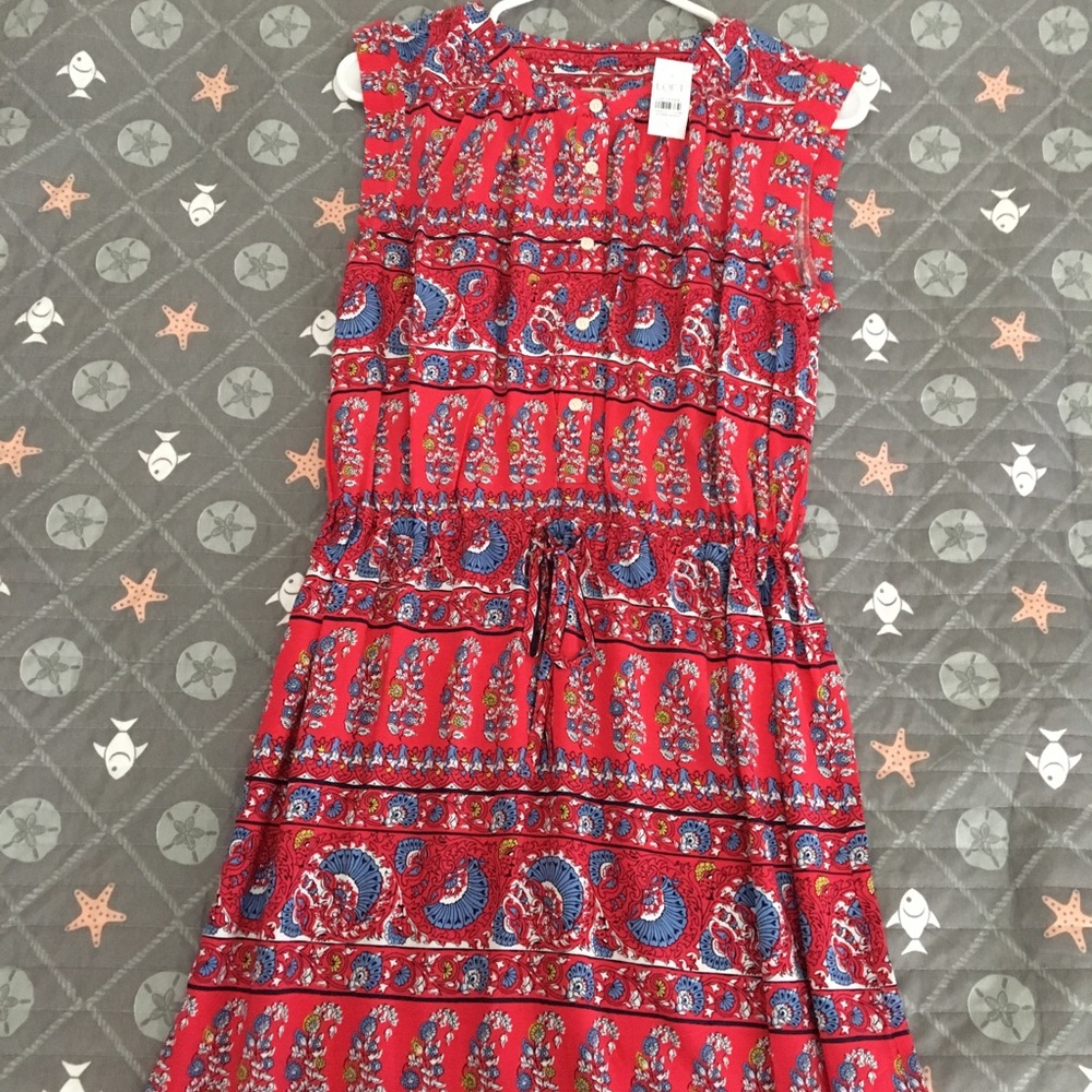 Loft dress- new